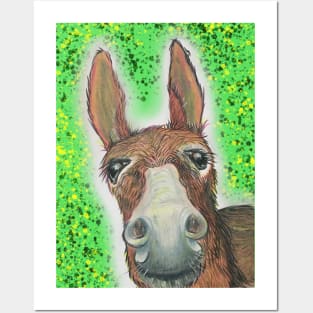 Donkey Posters and Art